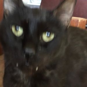 Meet your Posher, Deanna